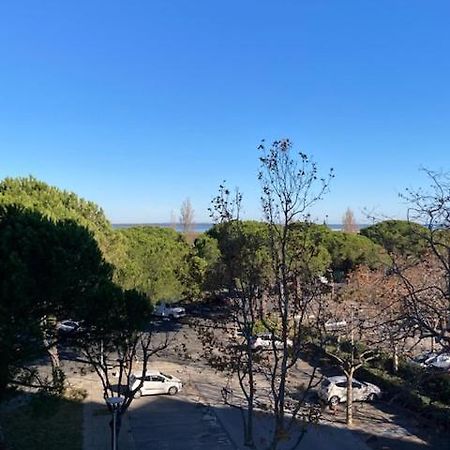 Charmant Studio Refait A Neuf Carnon Port 34 Mauguio Exteriör bild